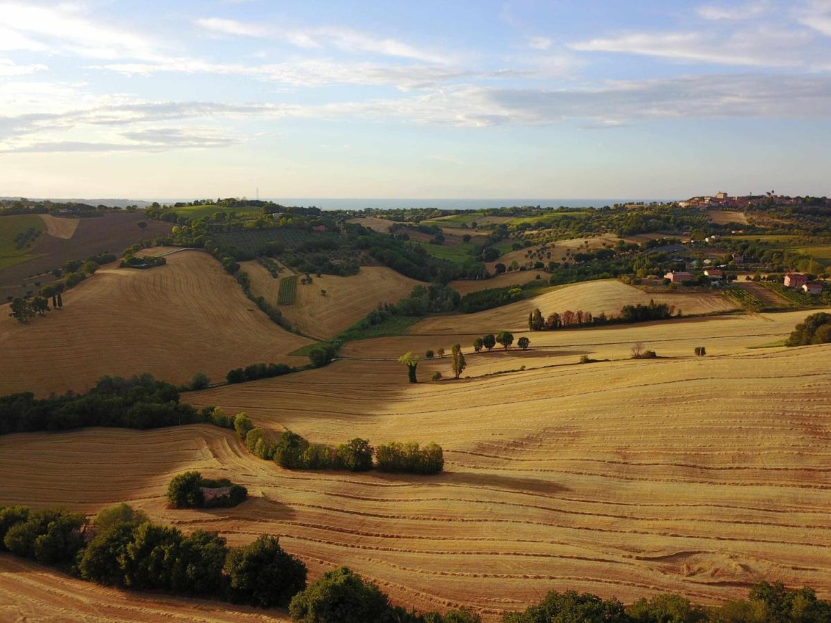 La Meriggia Agriturismo- Ampio Appartamento Con Terrazza Esclusiva Ankona Zewnętrze zdjęcie