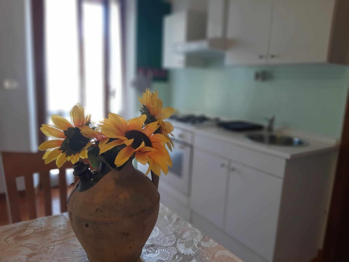 La Meriggia Agriturismo- Ampio Appartamento Con Terrazza Esclusiva Ankona Zewnętrze zdjęcie