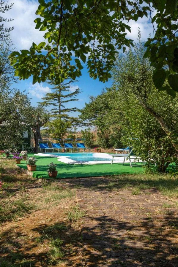La Meriggia Agriturismo- Ampio Appartamento Con Terrazza Esclusiva Ankona Zewnętrze zdjęcie