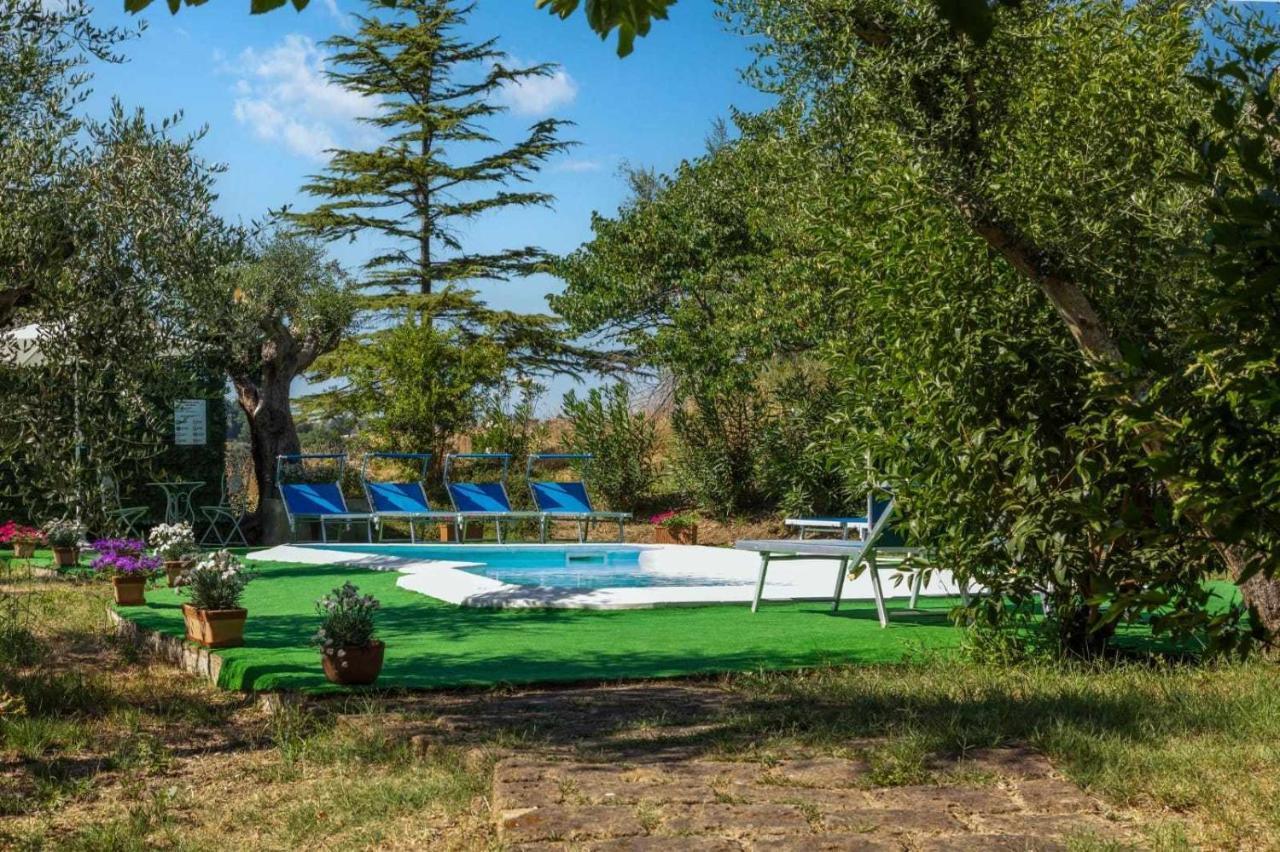La Meriggia Agriturismo- Ampio Appartamento Con Terrazza Esclusiva Ankona Zewnętrze zdjęcie